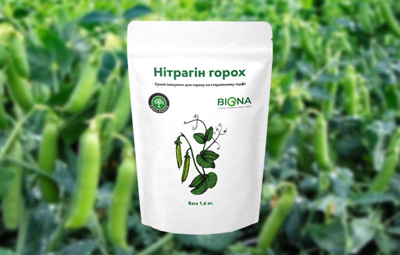 Нітрагін від BIONA: значення мікробіологічних добрив для вирощування гороху
